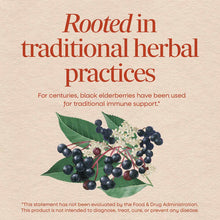 Black elderberries with green leaves and white flowers on beige background with red text about traditional herbal practices.
