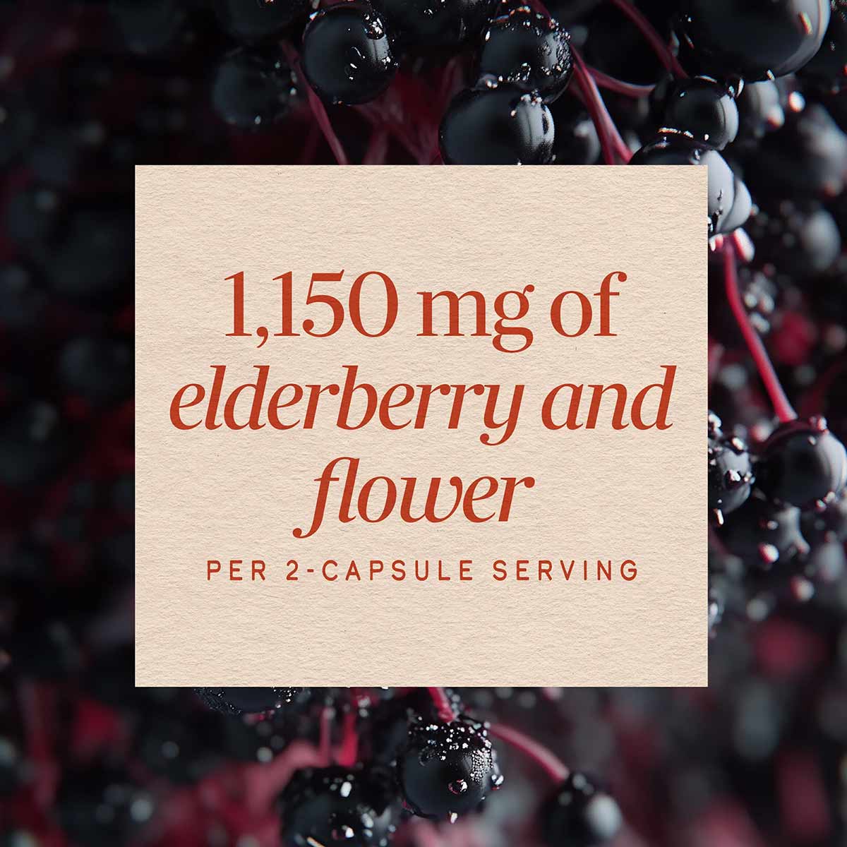 Black elderberries on dark stems with text overlay stating "1,150 mg of elderberry and flower per 2-capsule serving."