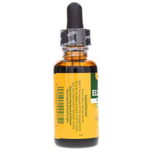 Black Elderberry Alcohol Free, 1 Oz, by Herb Pharm, image #3