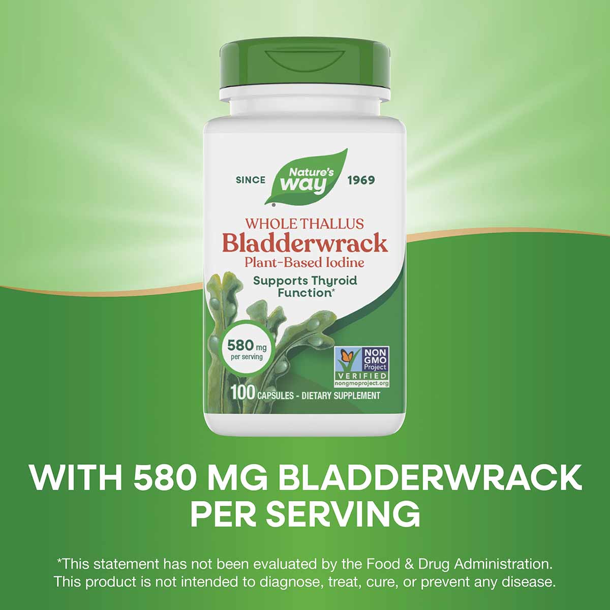Nature's Way Bladderwrack supplement bottle with green cap, white label, 100 capsules, 580 mg per serving.