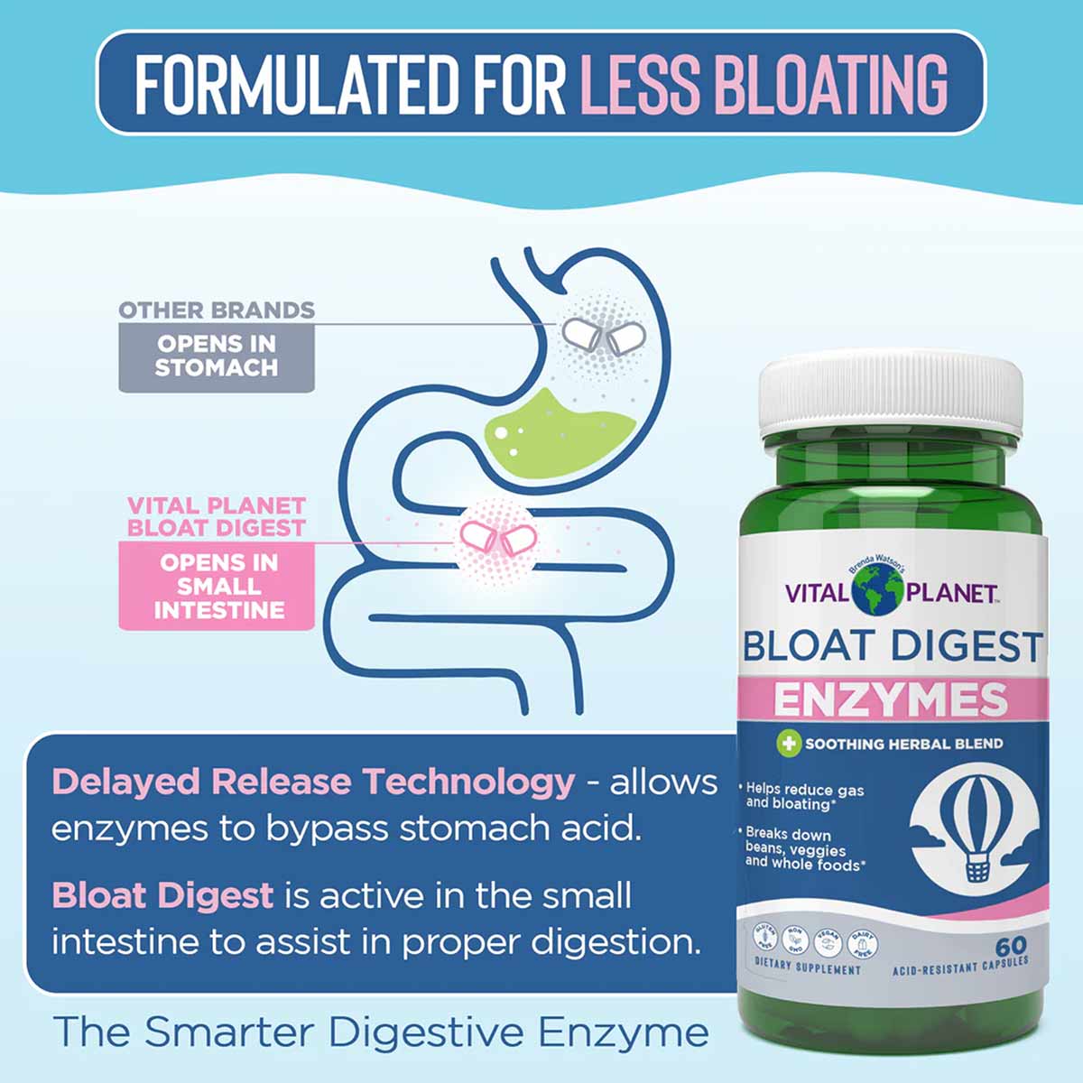 Bloat Digest Targeted Enzymes, by Vital Planet – Professional ...