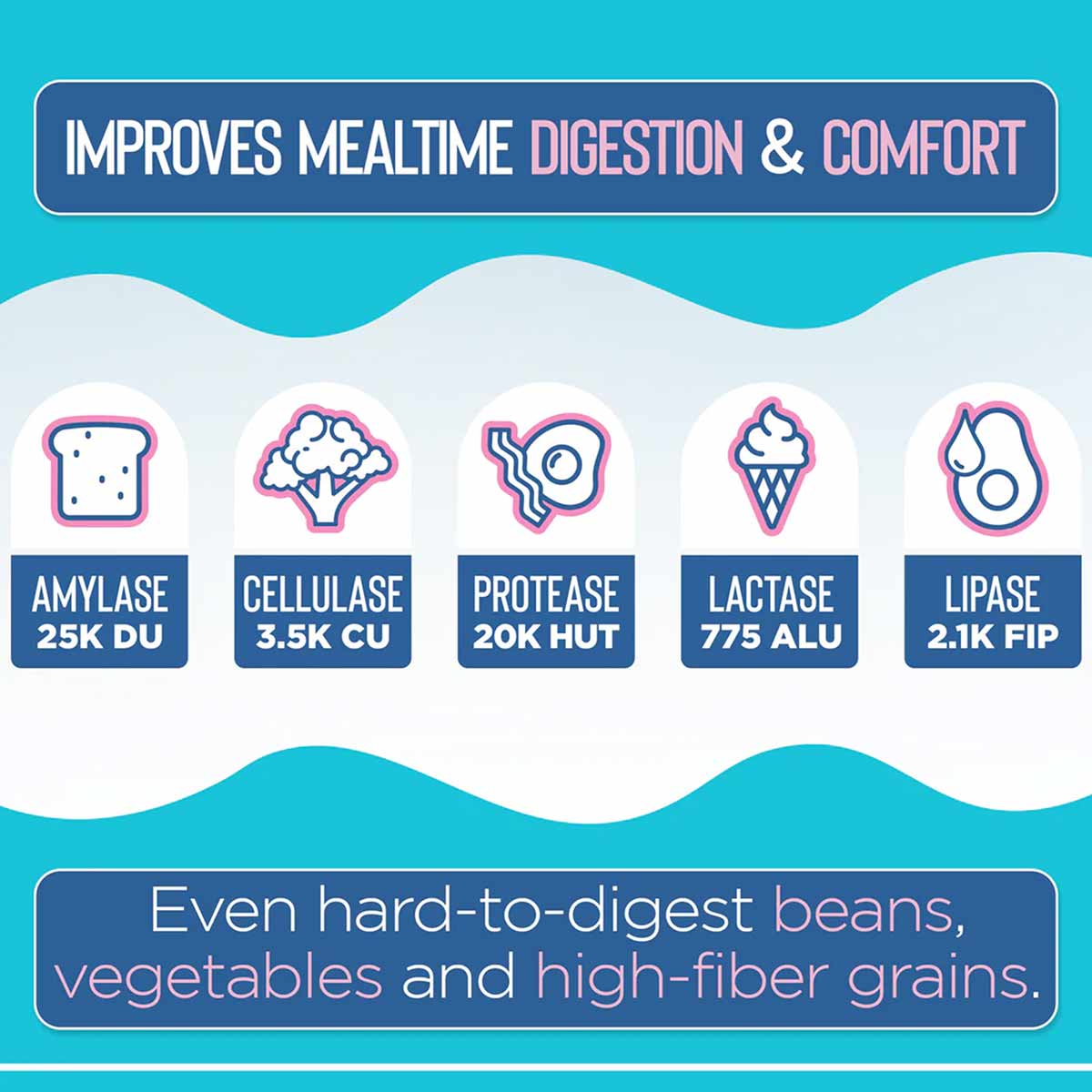 Product label showing five digestive enzymes (amylase, cellulase, protease, lactase, lipase) with icons and dosage amounts on