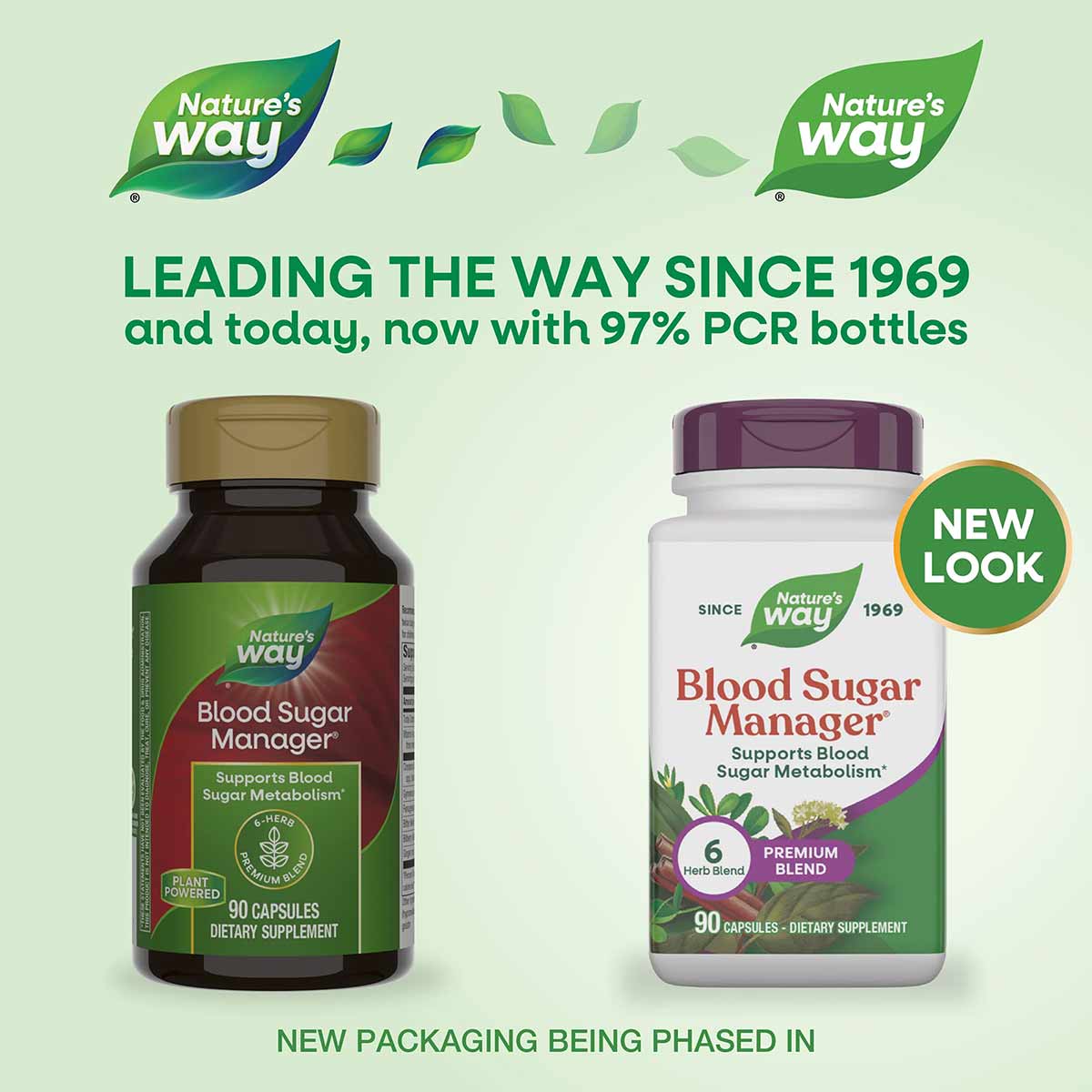 Two Nature's Way Blood Sugar Manager supplement bottles, one with gold cap and green label, one with purple cap and white lab