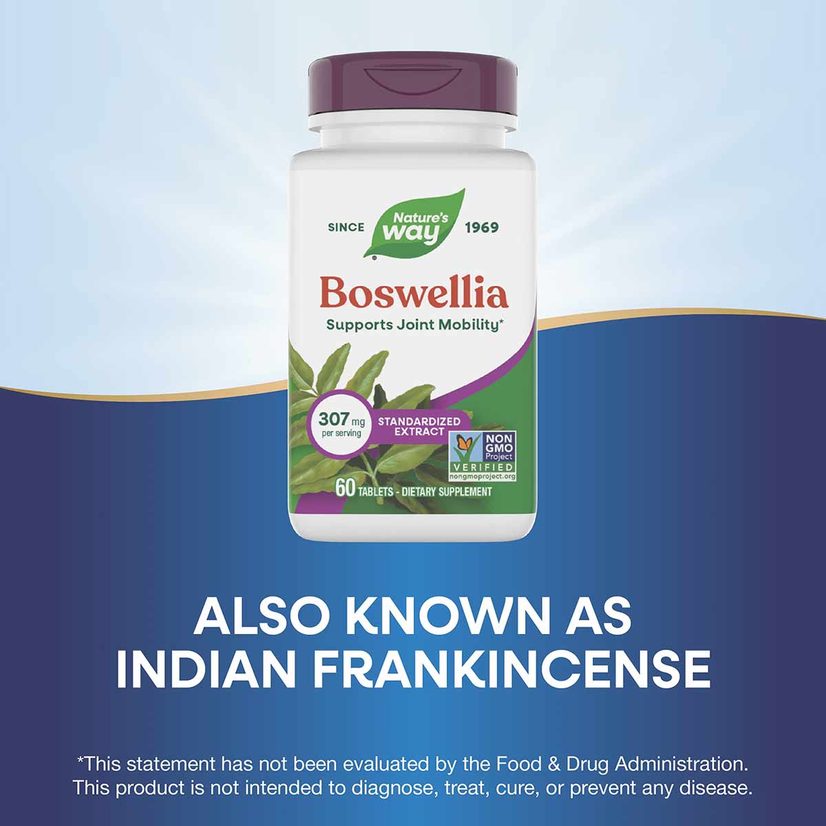 Nature's Way Boswellia Standardized Extract 307mg bottle with purple cap and white label, 60 tablets.