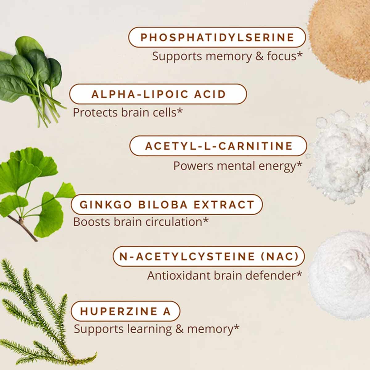 BrainMD supplement bottle with labeled ingredients including phosphatidylserine, alpha-lipoic acid, acetyl-L-carnitine, ginkg