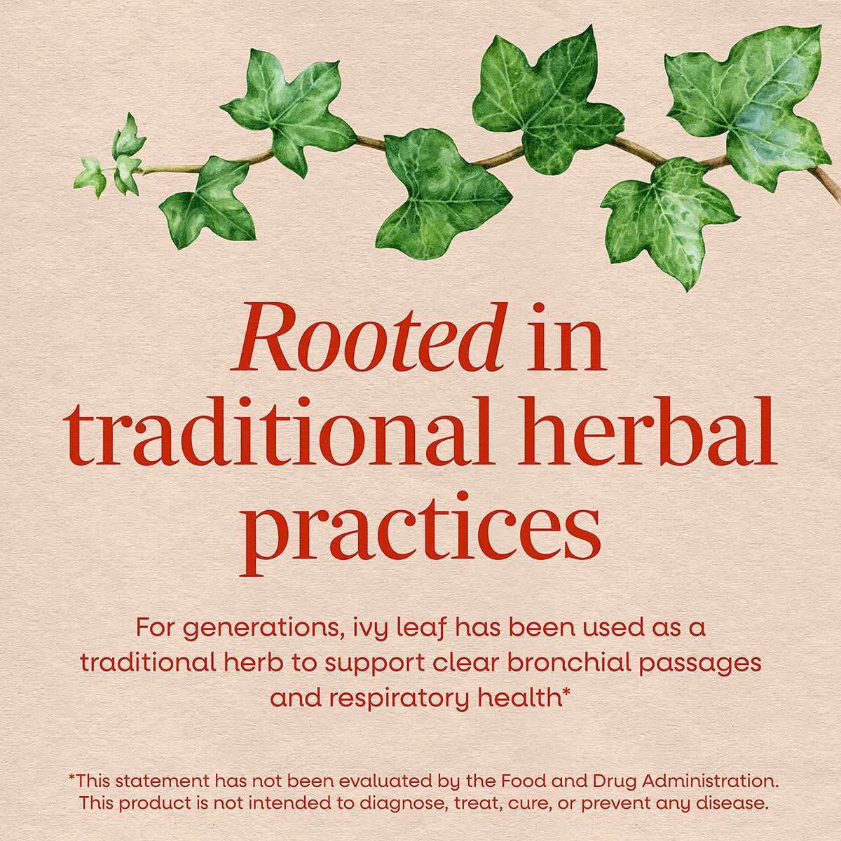 Green ivy leaf branch with text describing traditional herbal use for bronchial and respiratory support.