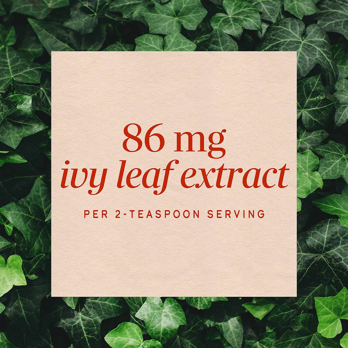 Cream-colored label displaying "86 mg ivy leaf extract per 2-teaspoon serving" in red text, set against green ivy leaves.
