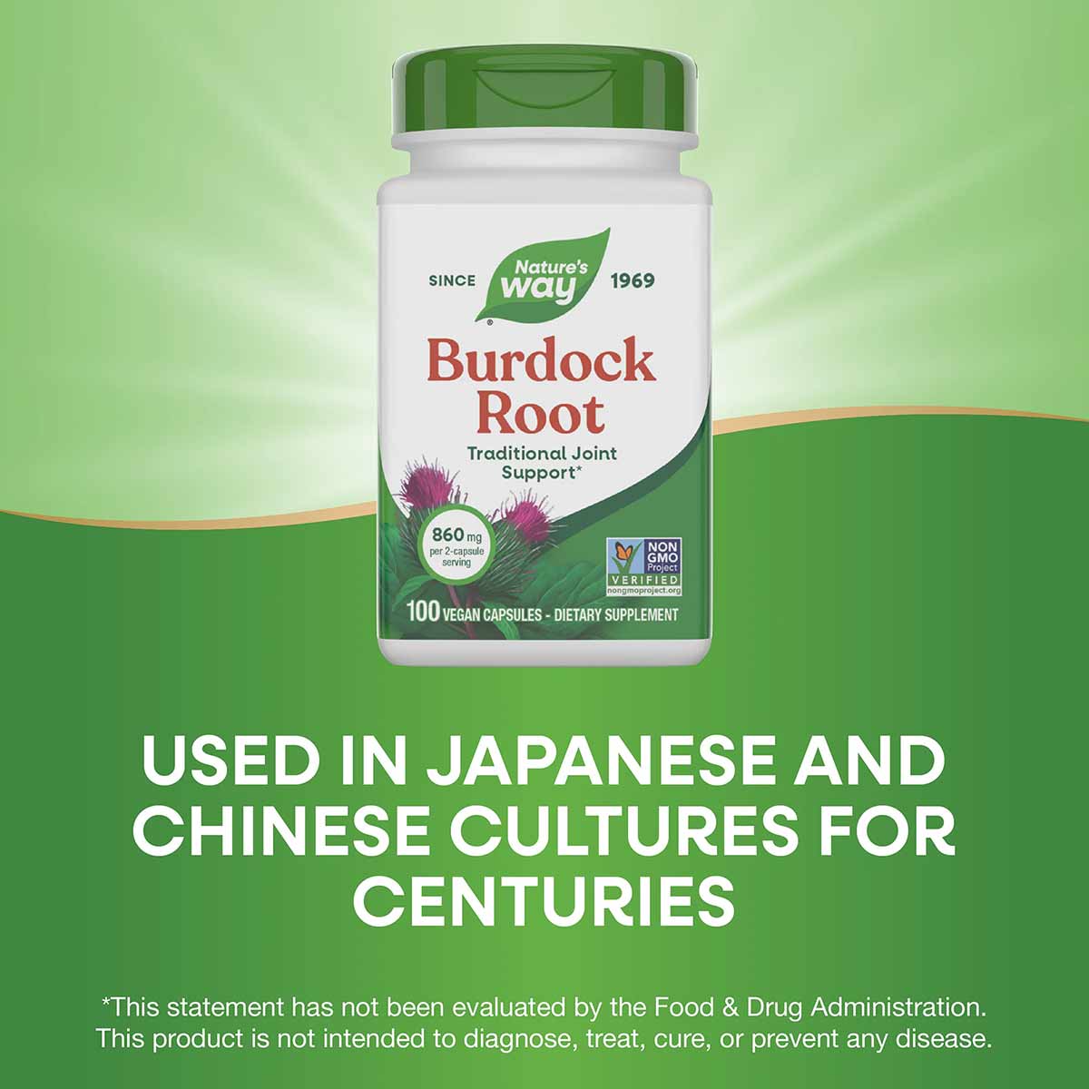 Nature's Way Burdock Root supplement bottle with green cap and white label, containing 100 vegan capsules.