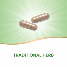 Two brown capsules on a green and white background with "Traditional Herb" text below.