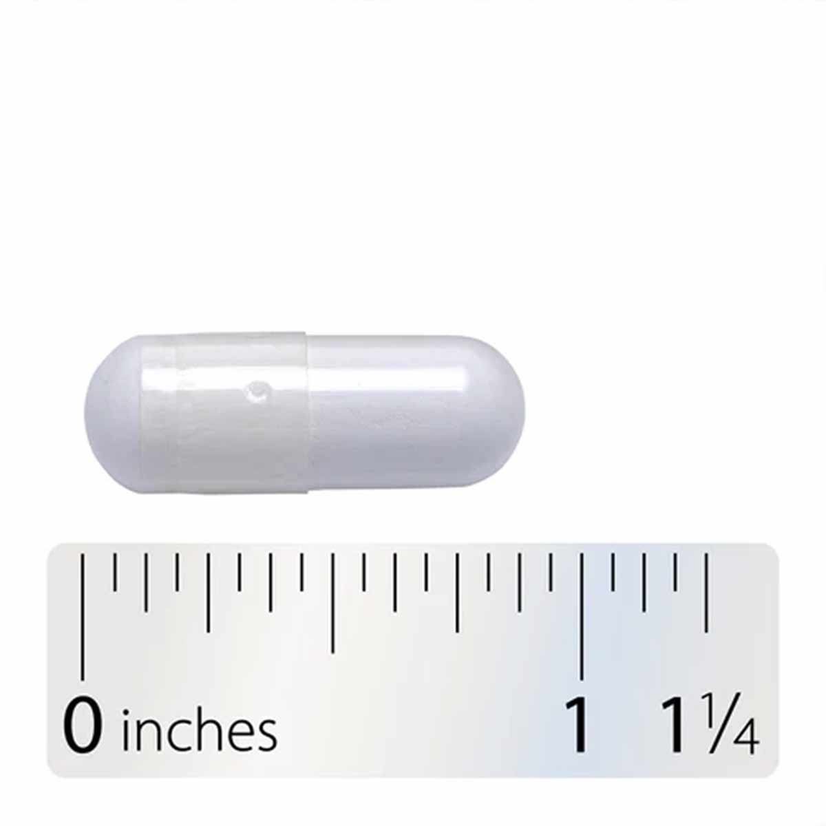 Clear translucent capsule shown next to ruler measuring approximately 1 inch in length.