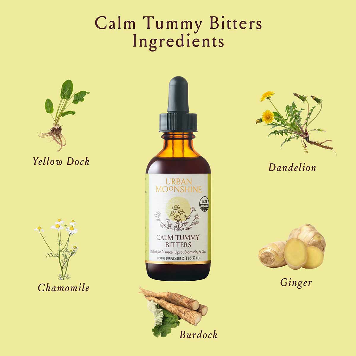 Calm Tummy Bitters bottle surrounded by ingredient illustrations: yellow dock, dandelion, chamomile, ginger, and burdock root