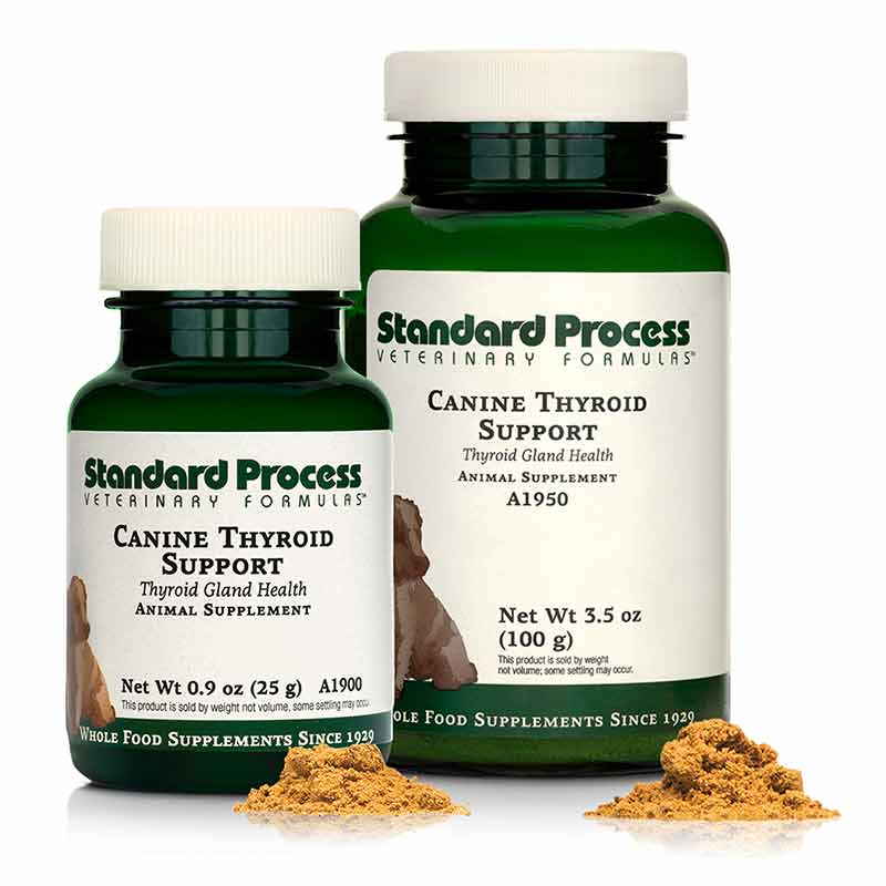 Canine Thyroid Support, Standard Process – Professional Supplement Center
