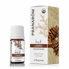 Brown glass bottle with white cap and cream-colored box labeled "Pranarom Cannes Diffusion Blend" with pinecone and botanical