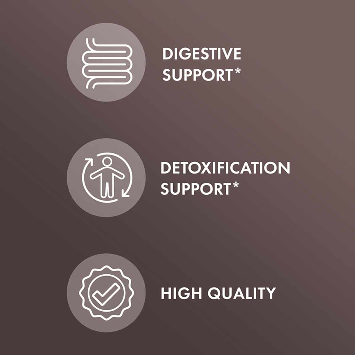 Three circular icons with text on brown background: intestines labeled "Digestive Support," figure with arrow labeled "Detoxi
