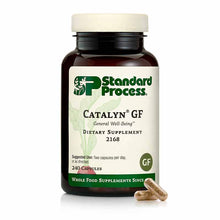 Catalyn GF, 240 Capsules, by Standard Process
