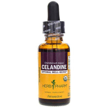 Celandine Extract, 1 Oz, by Herb Pharm