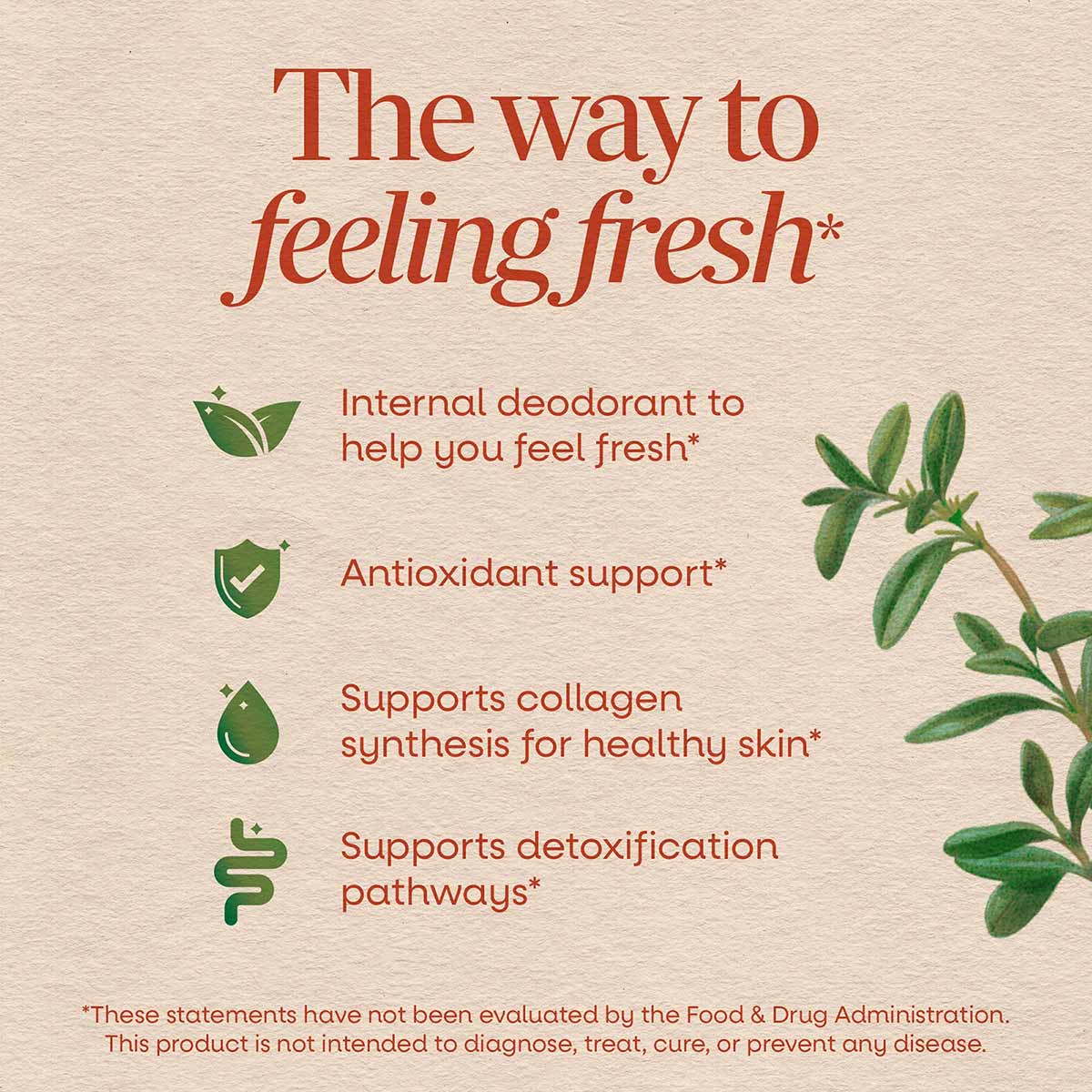 Chlorofresh Liquid Chlorophyll packaging with text describing internal deodorant, antioxidant support, and skin health benefi
