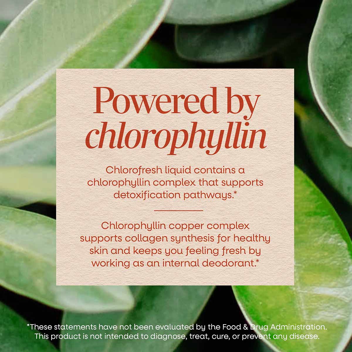 Beige product information card with red text overlaid on green plant leaves background.