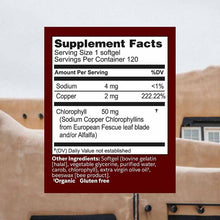 ChlorOxygen Softgels, 120 Softgels, by Herbs, Etc, image #2