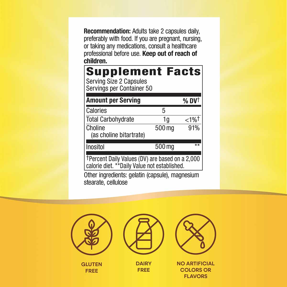 Natures Way Choline & Inositol supplement facts label with gluten-free, dairy-free, and no artificial colors or flavors badge