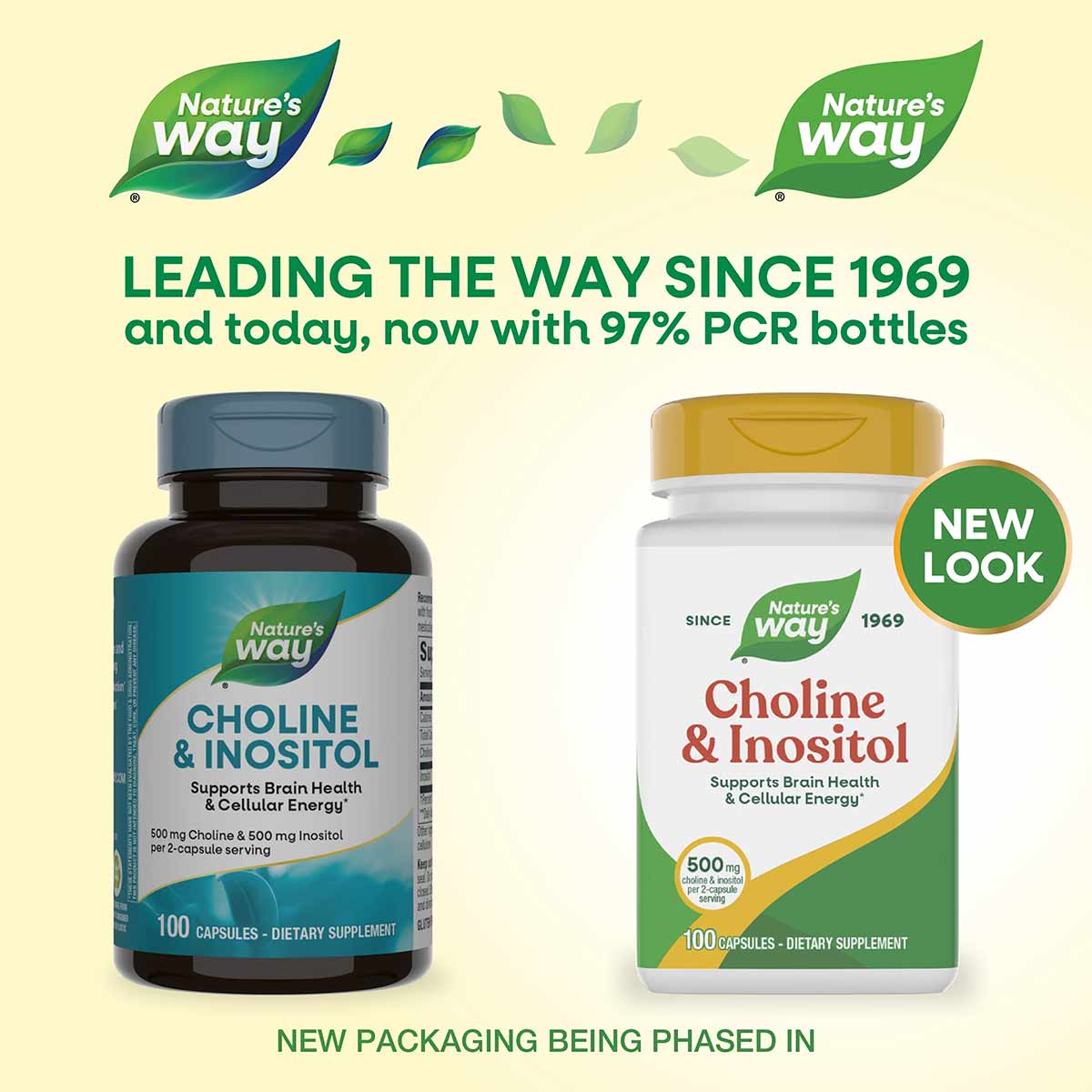 Nature's Way Choline & Inositol supplement bottles in old and new packaging designs side by side.