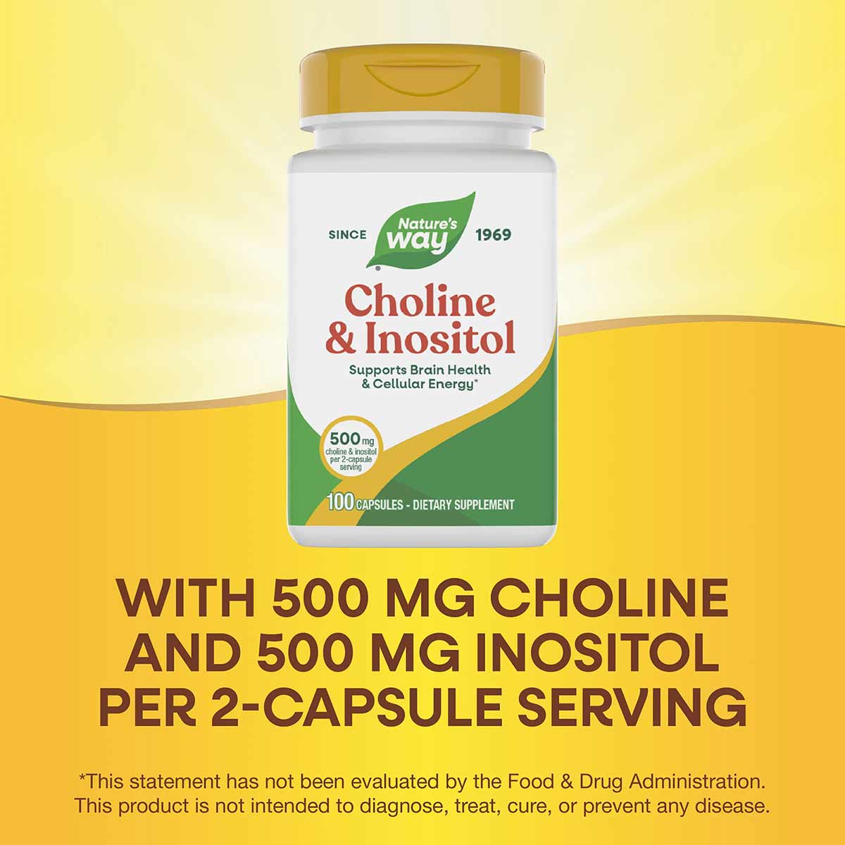 Nature's Way Choline & Inositol supplement bottle with gold cap on yellow background, 100 capsules.