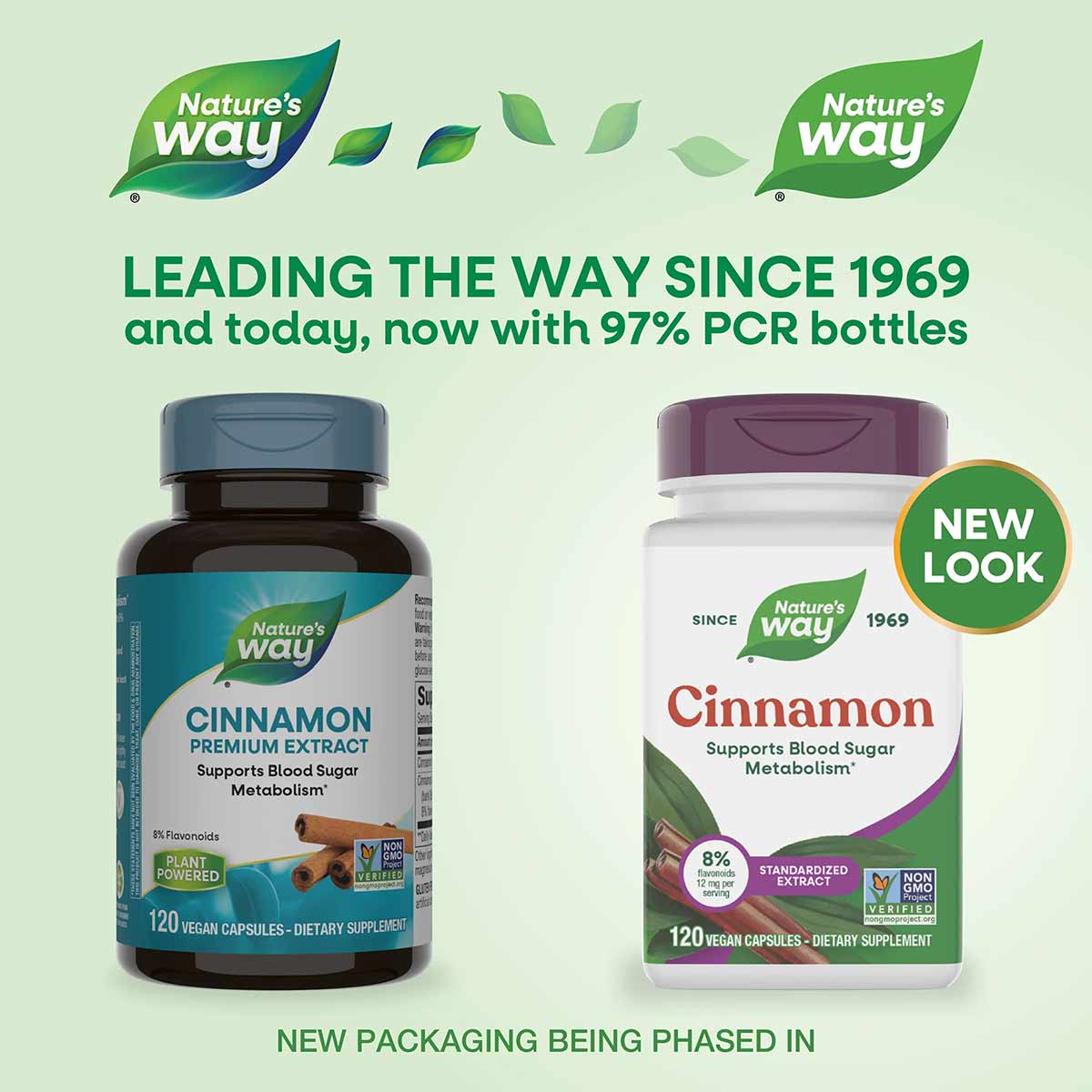 Two bottles of Nature's Way Cinnamon Standardized supplement: dark glass bottle with blue label and white container with purp