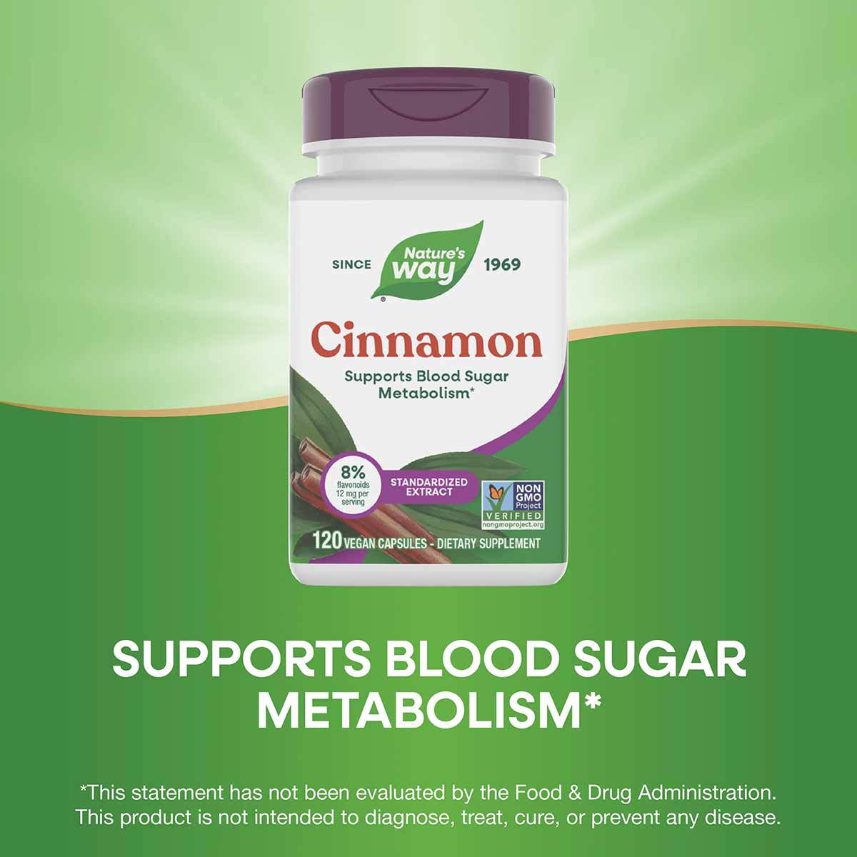 White bottle with purple cap containing 120 vegan cinnamon capsules, labeled Nature's Way standardized cinnamon extract suppl