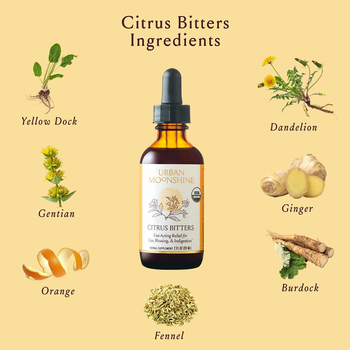 Urban Moonshine Citrus Bitters bottle surrounded by ingredient illustrations including yellow dock, dandelion, gentian, ginge