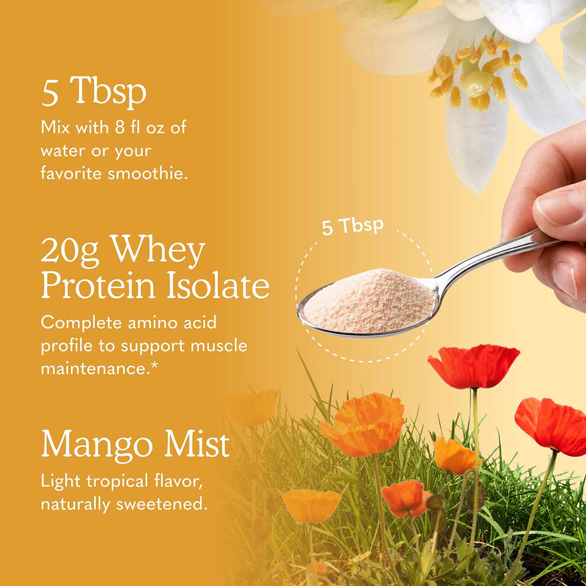 Spoon holding tan-colored powder with text describing 20g whey protein isolate and mango mist flavor on yellow background wit