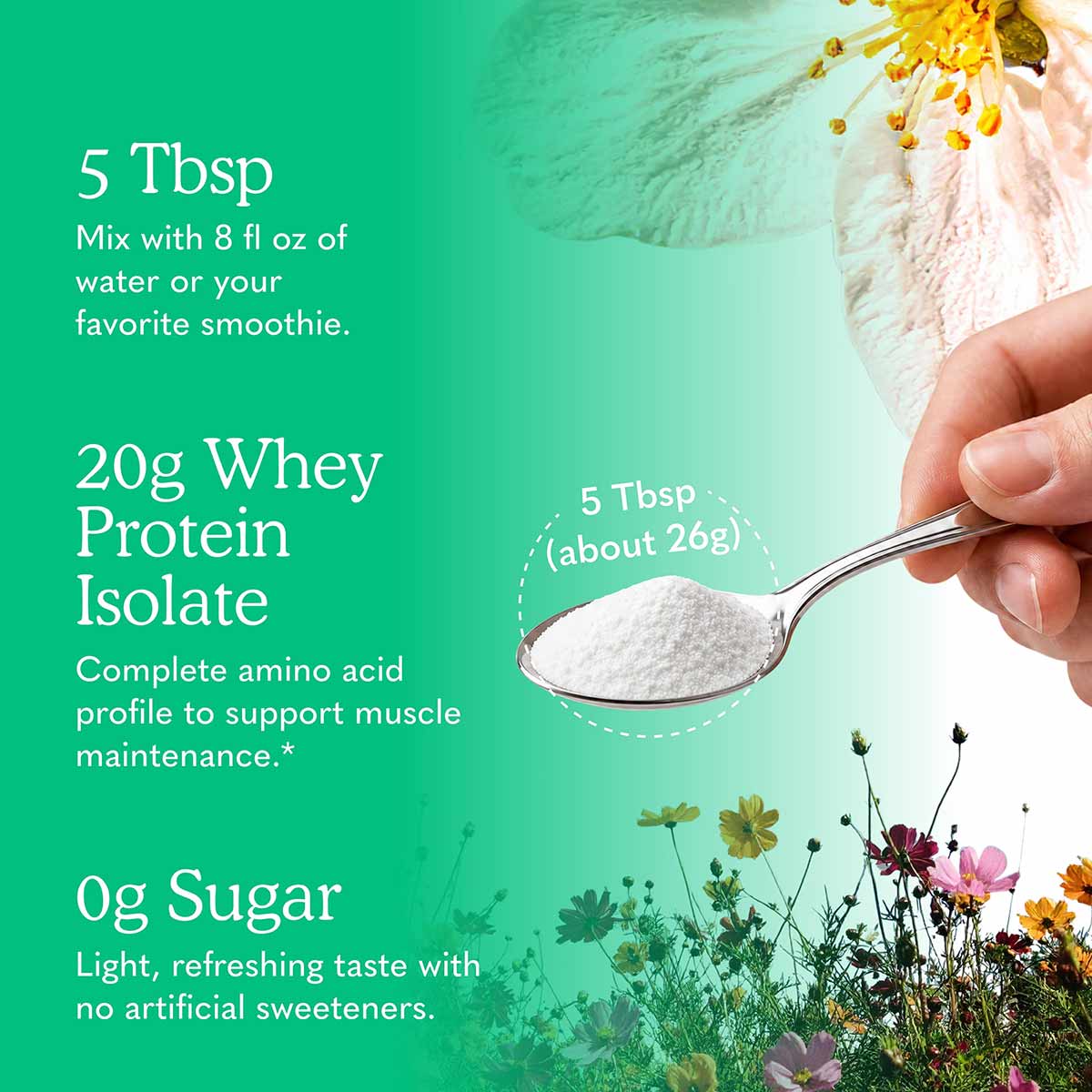 Hand holding spoon with white whey protein powder over turquoise background with flowers.