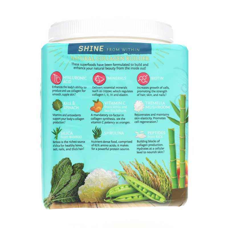 Collagen Building Protein Peptides, Chocolate Fudge, by Sunwarrior, image #4