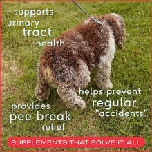 Cranberry Bladder Chews, Kidney & Urinary Supplement For Dog, 60 Chews, by Native Pet, image #3