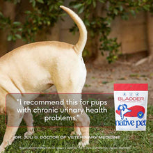 Cranberry Bladder Chews, Kidney & Urinary Supplement For Dog, 60 Chews, by Native Pet, image #5