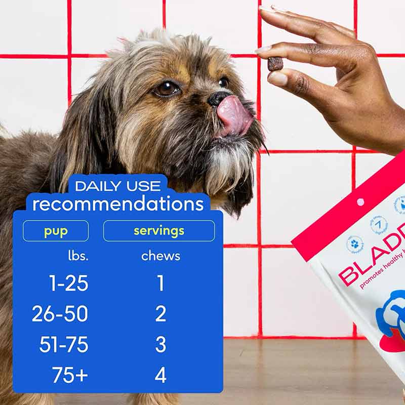 Cranberry Bladder Chews, Kidney & Urinary Supplement For Dog, 60 Chews, by Native Pet, image #6