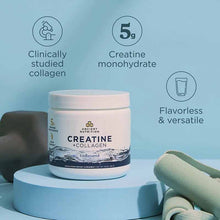 Creatine + Collagen, Unflavored, by Ancient Nutrition, image #3
