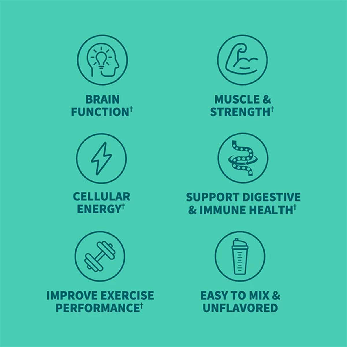 Creatine Monohydrate + Probiotics, by Garden of Life Sport