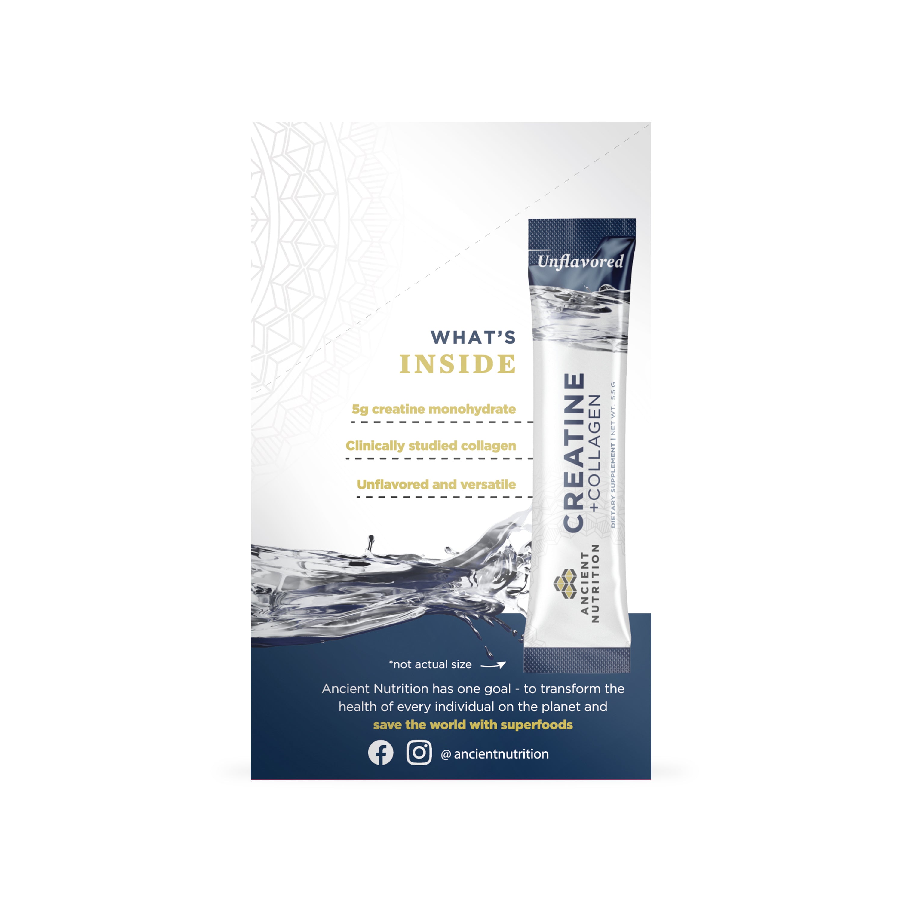 Creatine Plus Collagen Stick Packs, by Ancient Nutrition