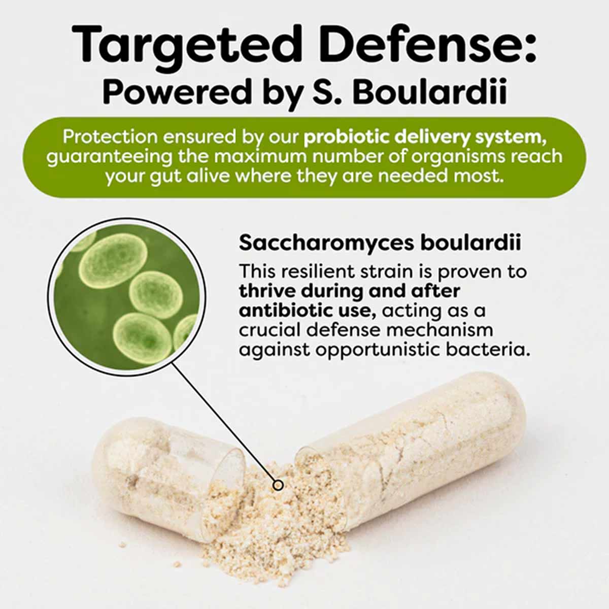 Probiotic capsule with tan powder contents and microscopic view of Saccharomyces boulardii organisms.