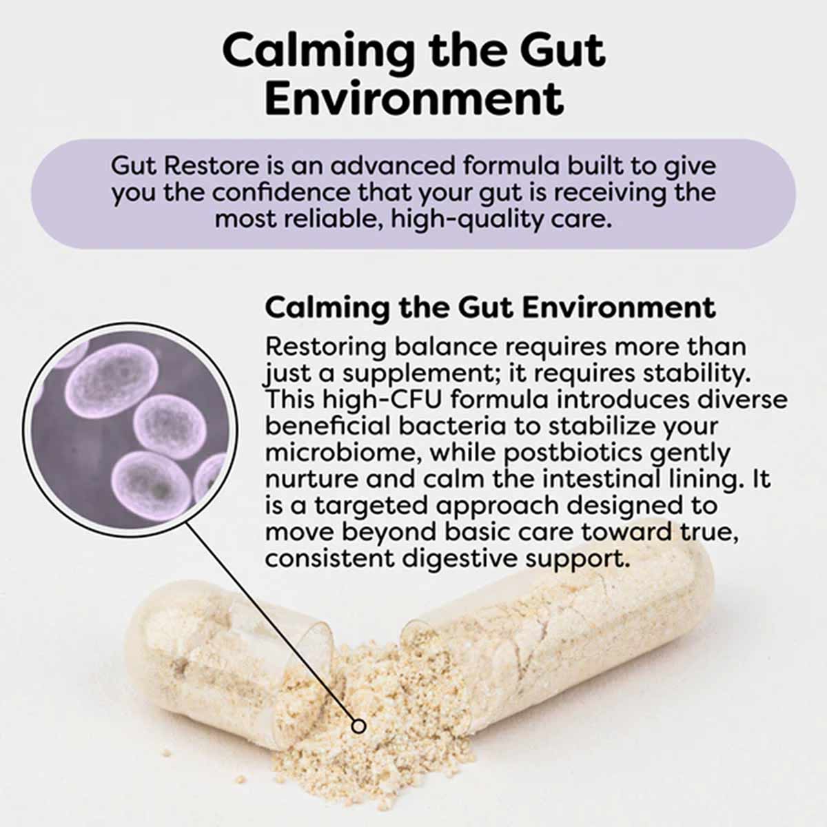 Beige probiotic supplement capsule and powder with magnified view of bacteria cells and descriptive text about gut health ben