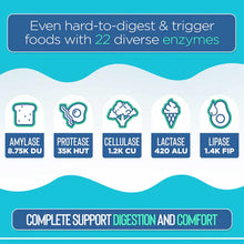 Infographic showing five digestive enzymes with icons: amylase, protease, cellulase, lactase, and lipase on turquoise backgro