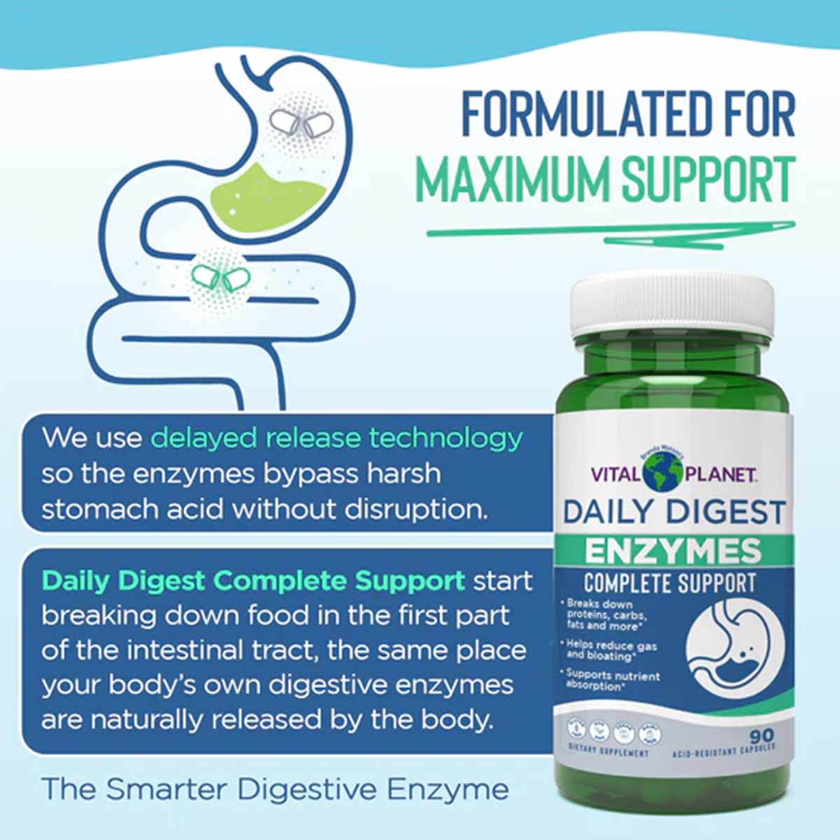 Vital Planet Daily Digest Enzymes Complete Support bottle with white cap and green label, 90 count.