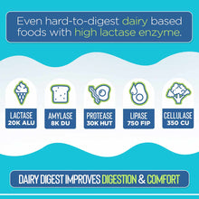 Infographic displaying five enzyme types with icons: lactase, amylase, protease, lipase, and cellulase on turquoise backgroun