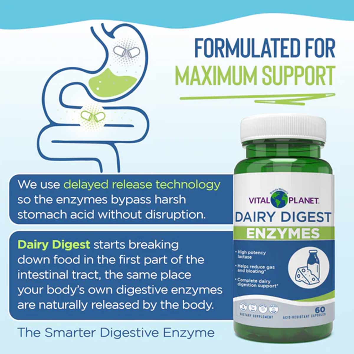 Vital Planet Dairy Digest Enzymes green bottle with white cap, 60 servings, displayed against light blue background.