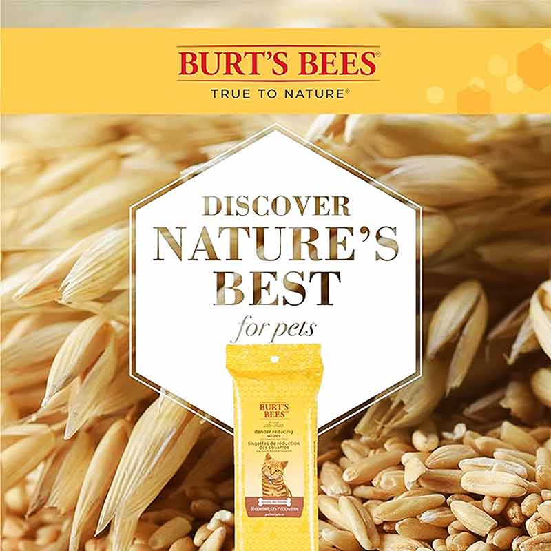 Dander Reducing Wipes for Cats, 50 Wipes, by Burt's Bees Pets, image #3