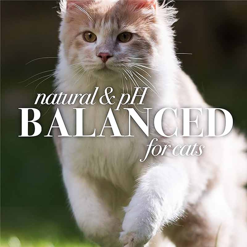 Dander Reducing Wipes for Cats, 50 Wipes, by Burt's Bees Pets, image #4