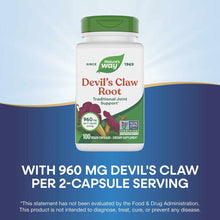 Nature's Way Devil's Claw Root supplement bottle with green cap containing 100 vegan capsules at 960mg per serving.