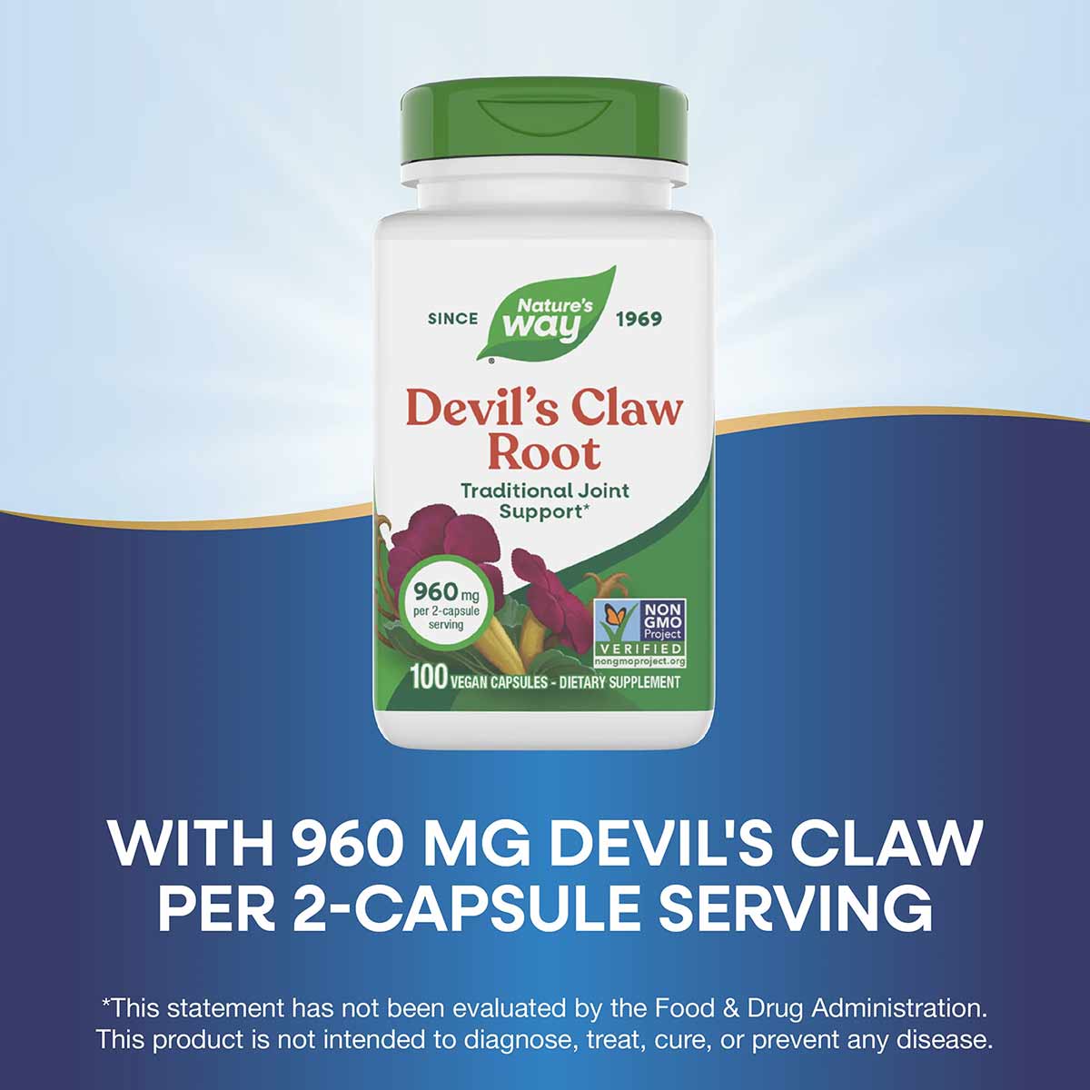 Nature's Way Devil's Claw Root supplement bottle with green cap containing 100 vegan capsules at 960mg per serving.