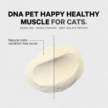 DNA PET Happy Healthy Muscles Powder for Cats, by Codeage, image #7