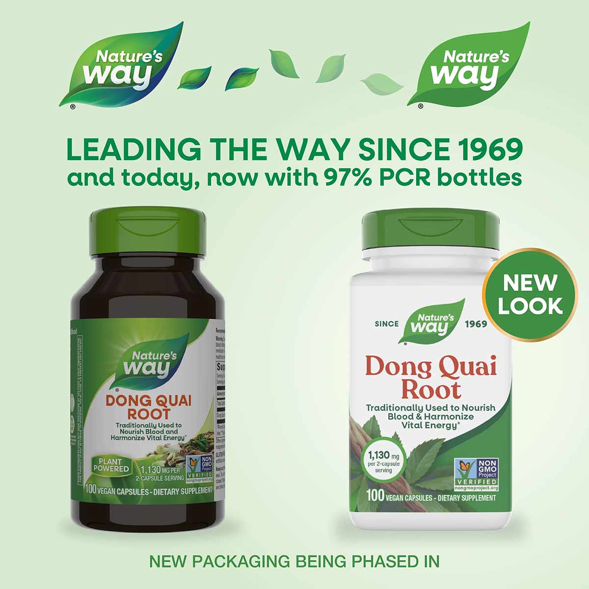 Two Nature's Way Dong Quai Root supplement bottles with green caps on pale green background, old and new packaging designs.